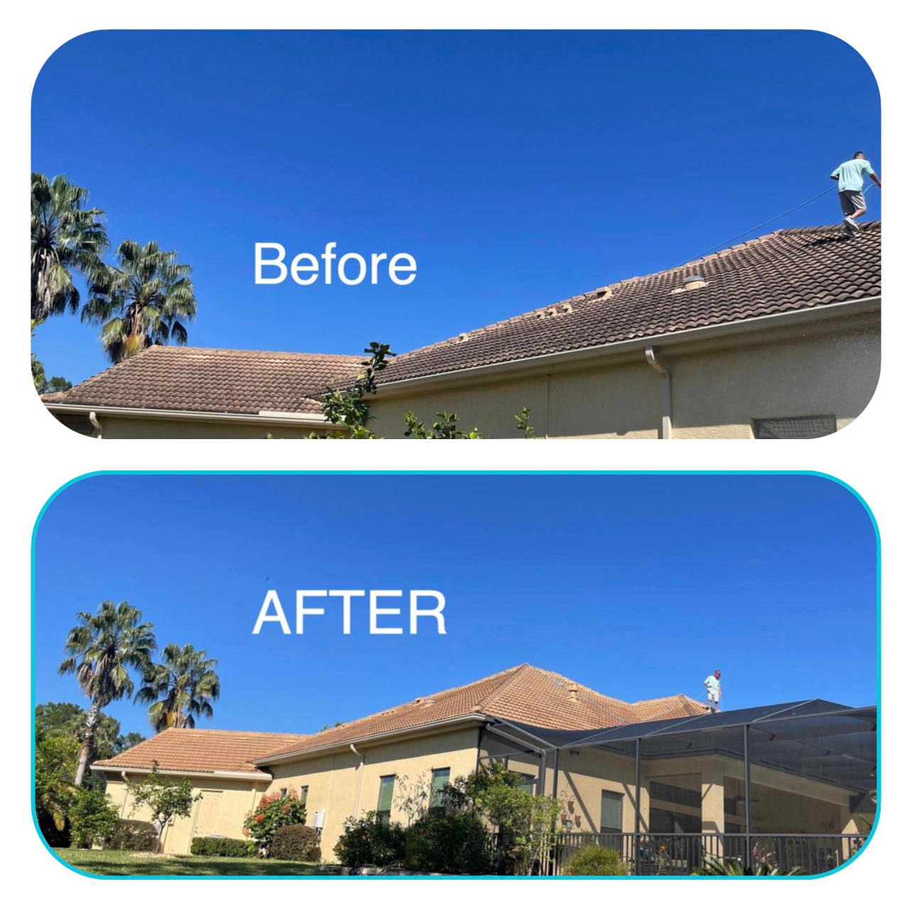 Residential Soft Wash Roof Cleaning Citrus County